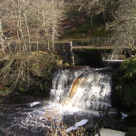 Joined-Up Holidays Hamsterley (Bishop Auckland) Exterior photo