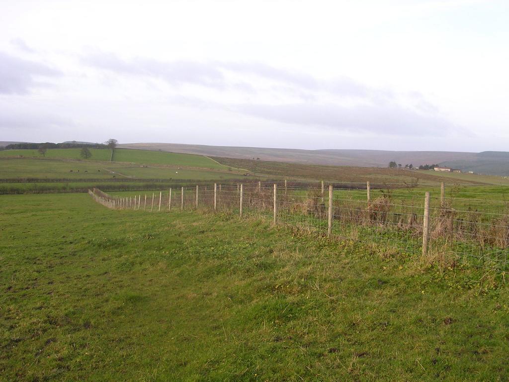 Joined-Up Holidays Hamsterley (Bishop Auckland) Exterior photo